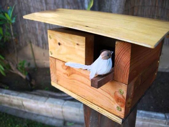 simple bird house plansunique birdhouse designs.jpg